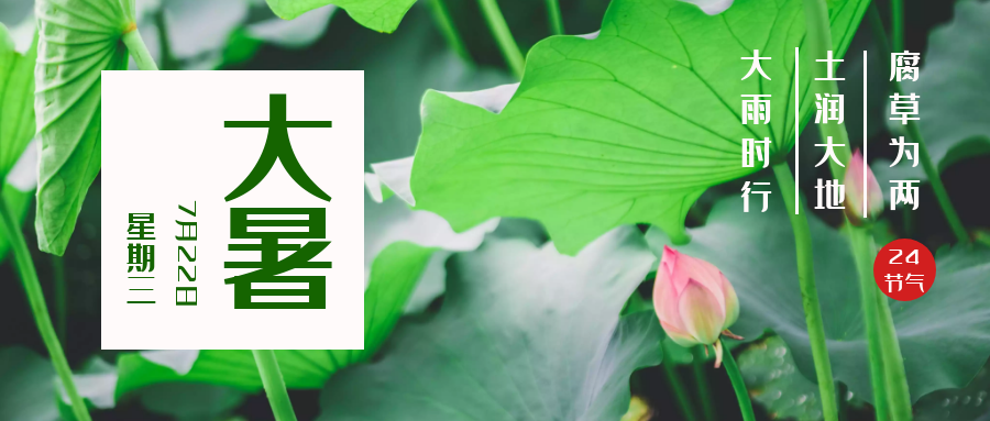 今日大暑丨驕陽似火，盛夏正濃